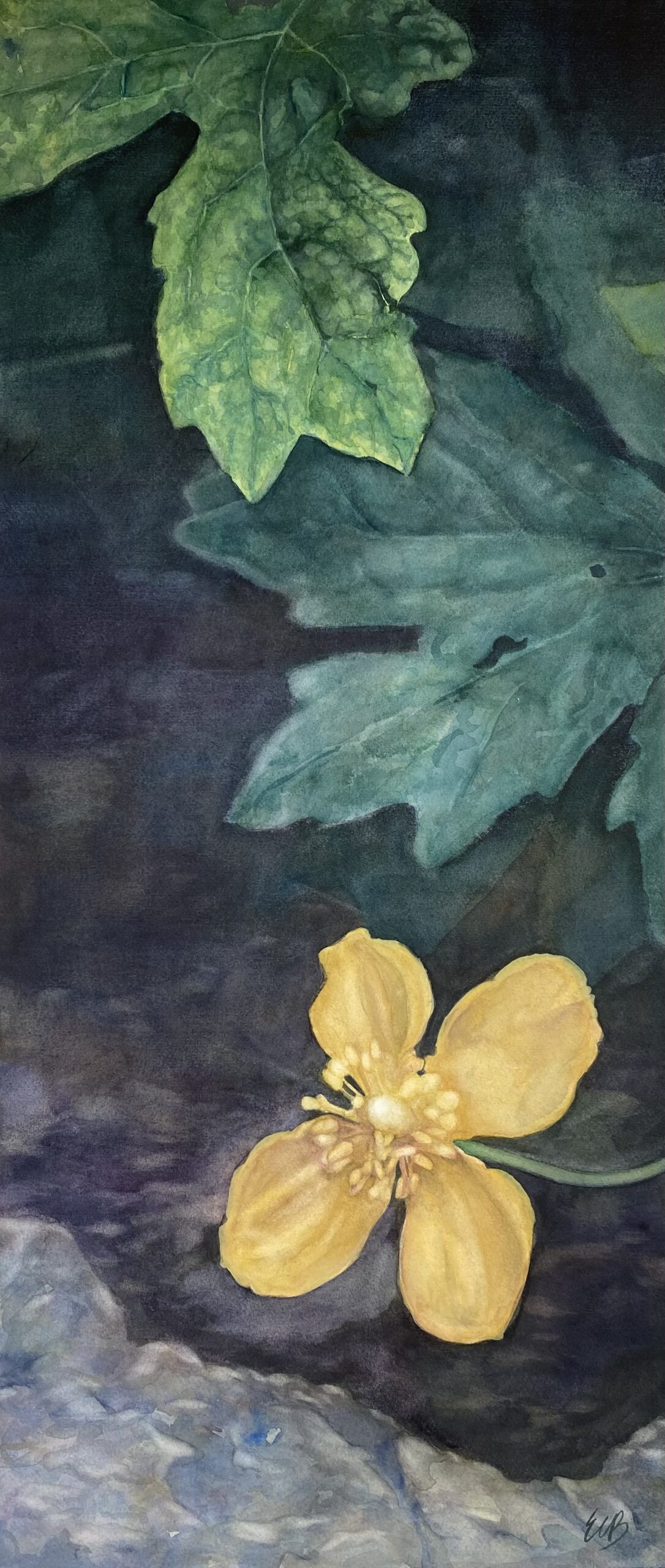 Celandine-poppy-native-shade-garden-watercolor-erin-blumer