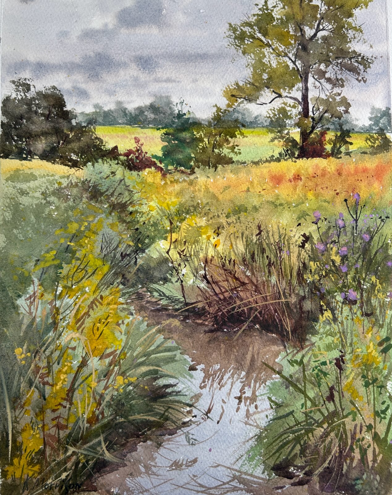 Kathy Morrison