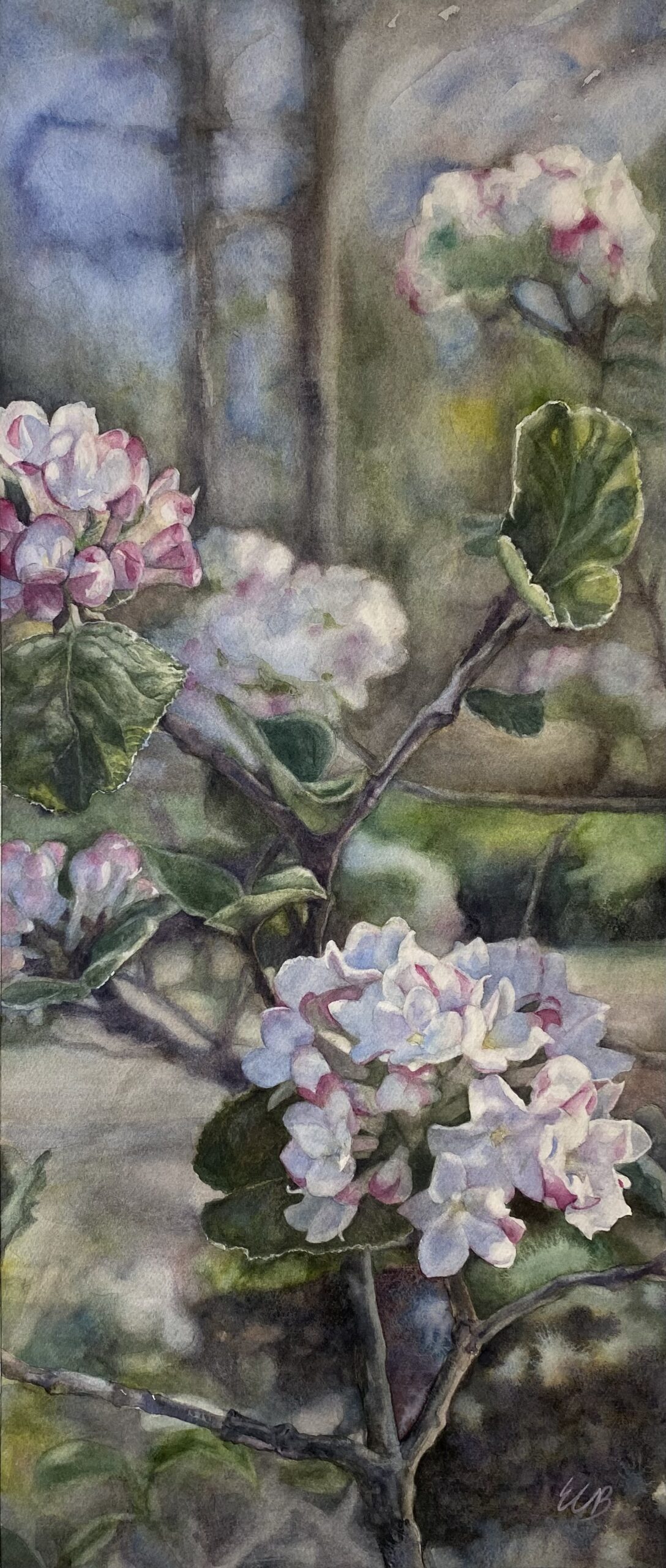 Viburnum-english-woodland-garden-watercolor-erin-blumer