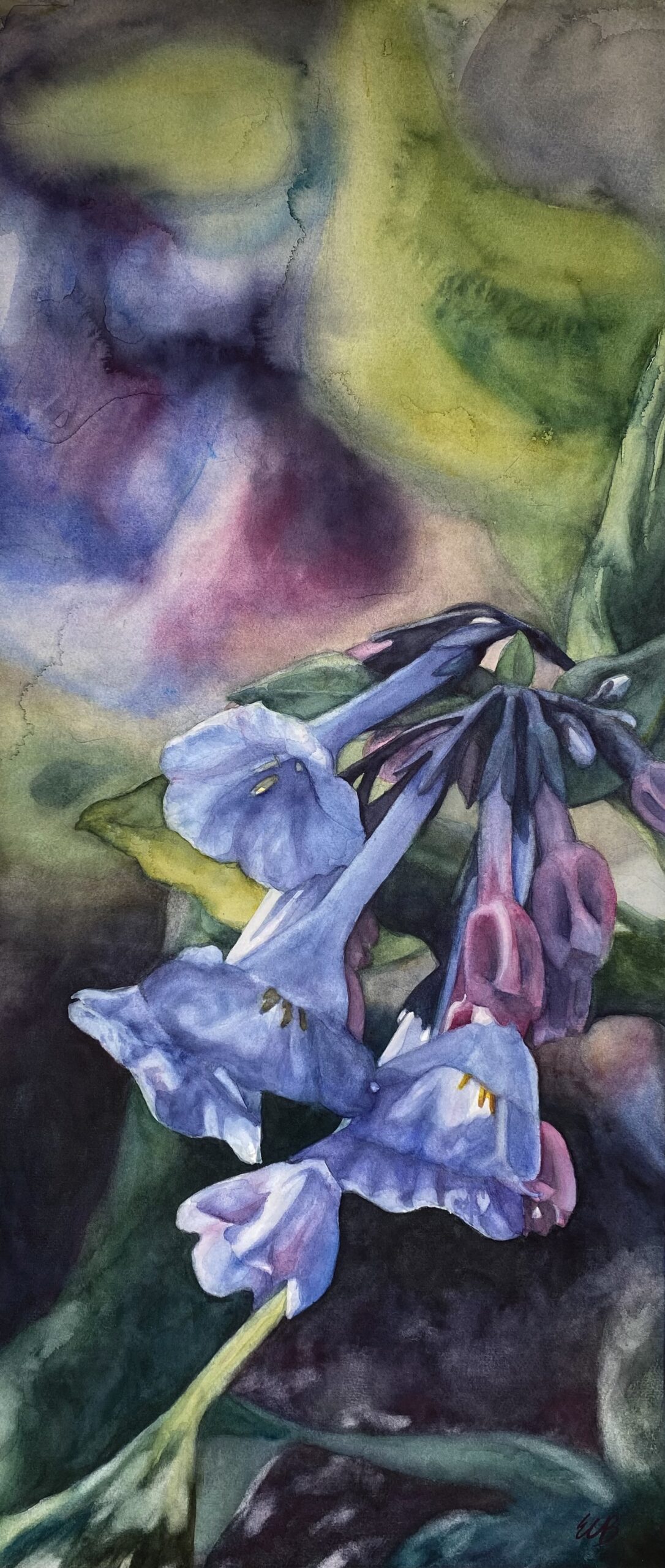 Virginia-bluebells-english-woodland-garden-watercolor-erin-blumer