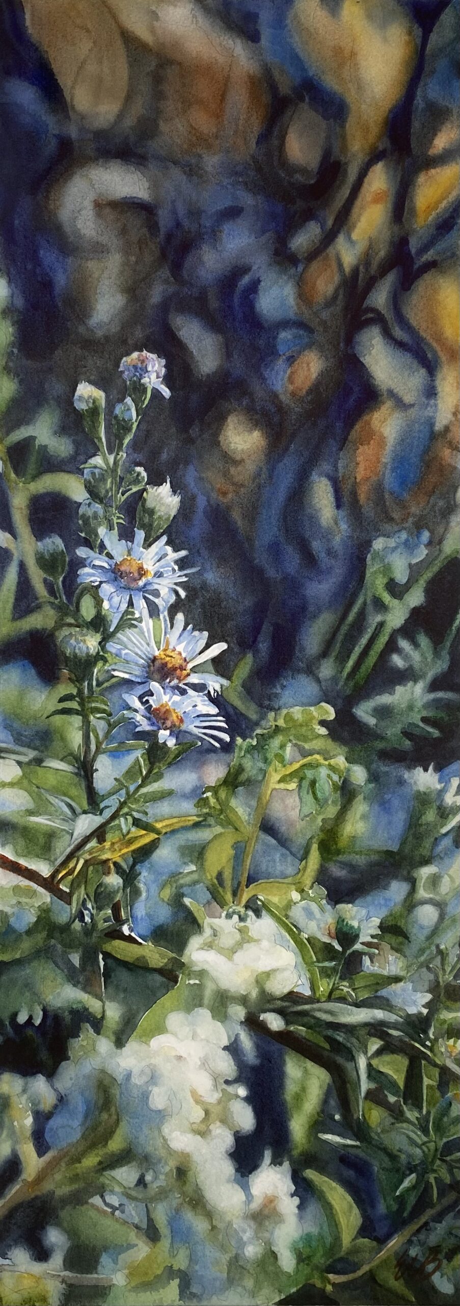 aster-hidden-creek-savanna-watercolor-erin-blumer