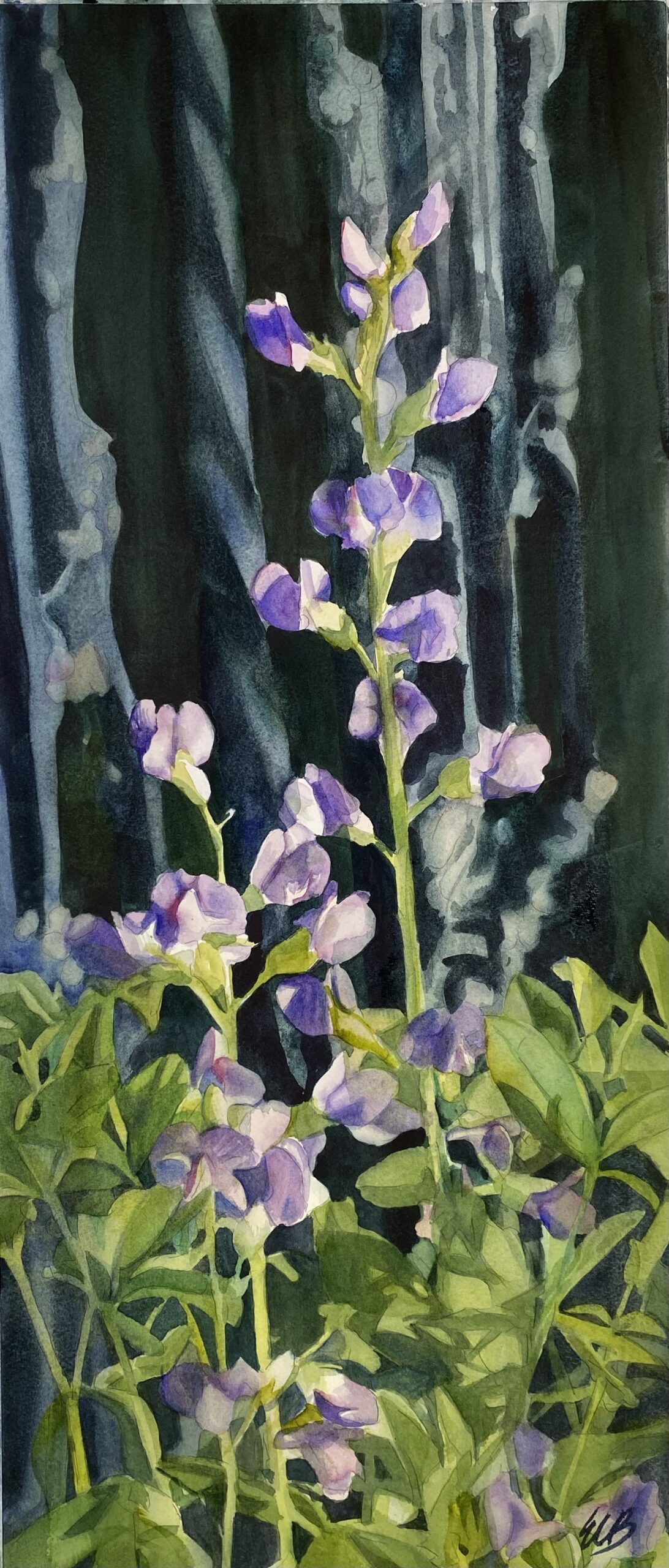 baptisia-herb-garden-watercolor-erin-blumer