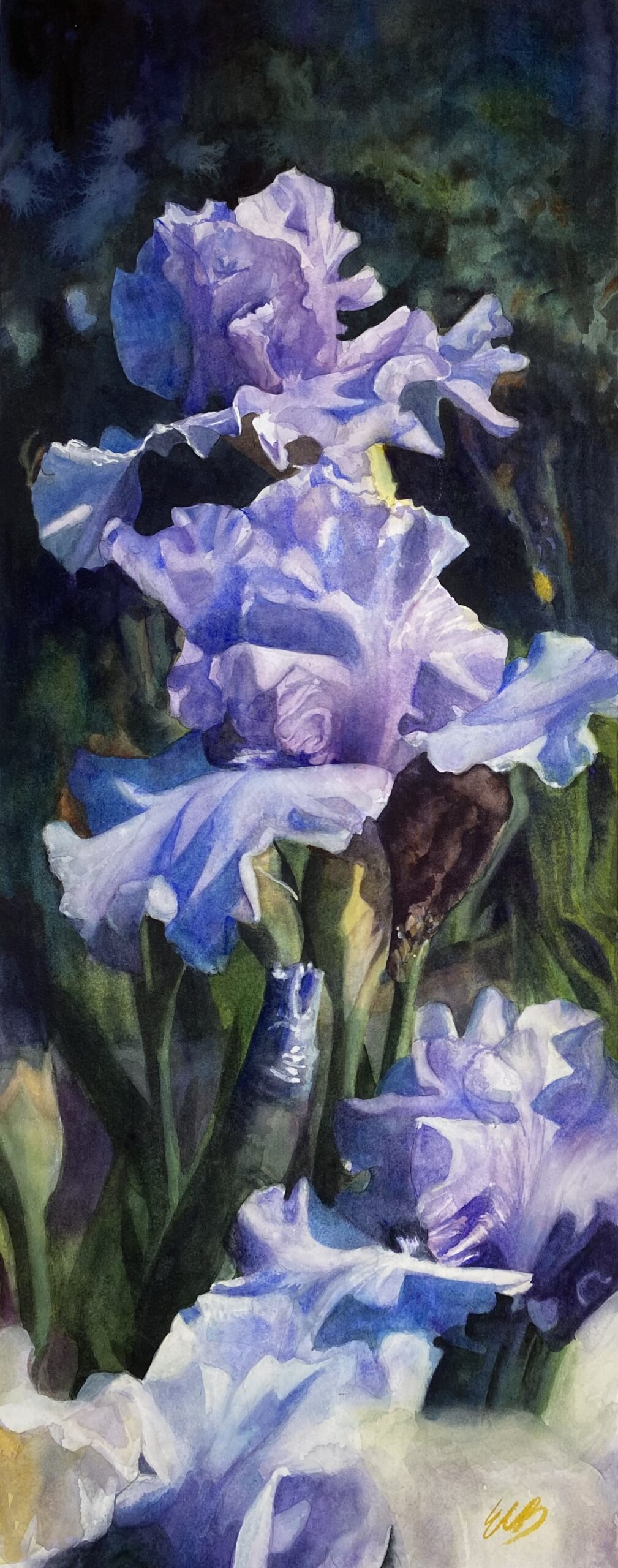blue-iris-iris-garden-watercolor-erin-blumer