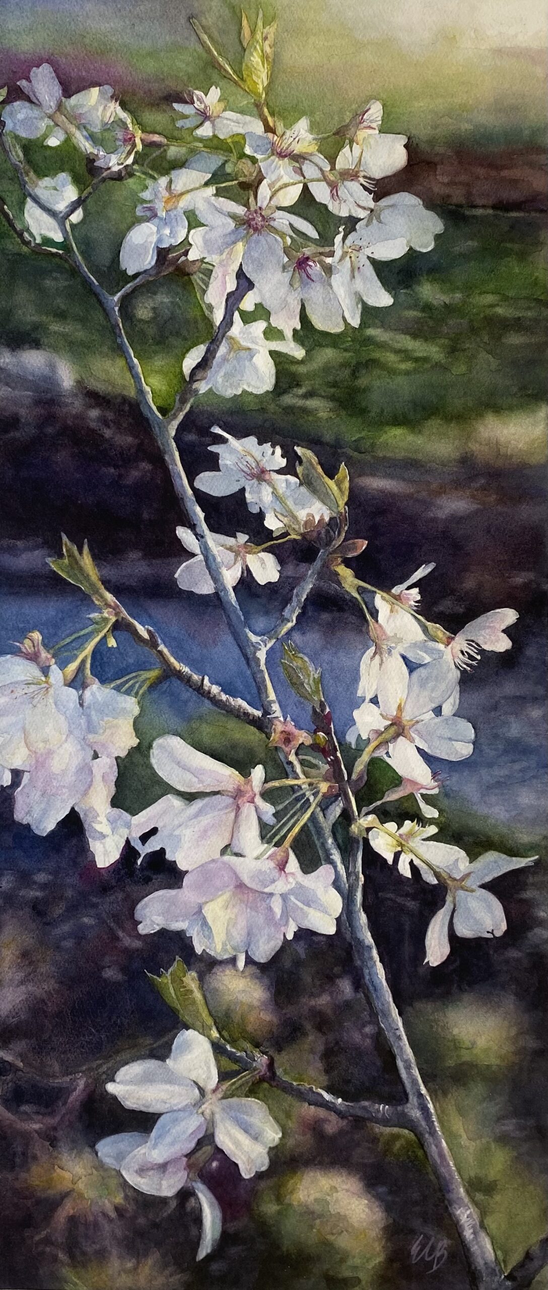 cherry-blossoms-japanese-garden-watercolor-erin-blumer