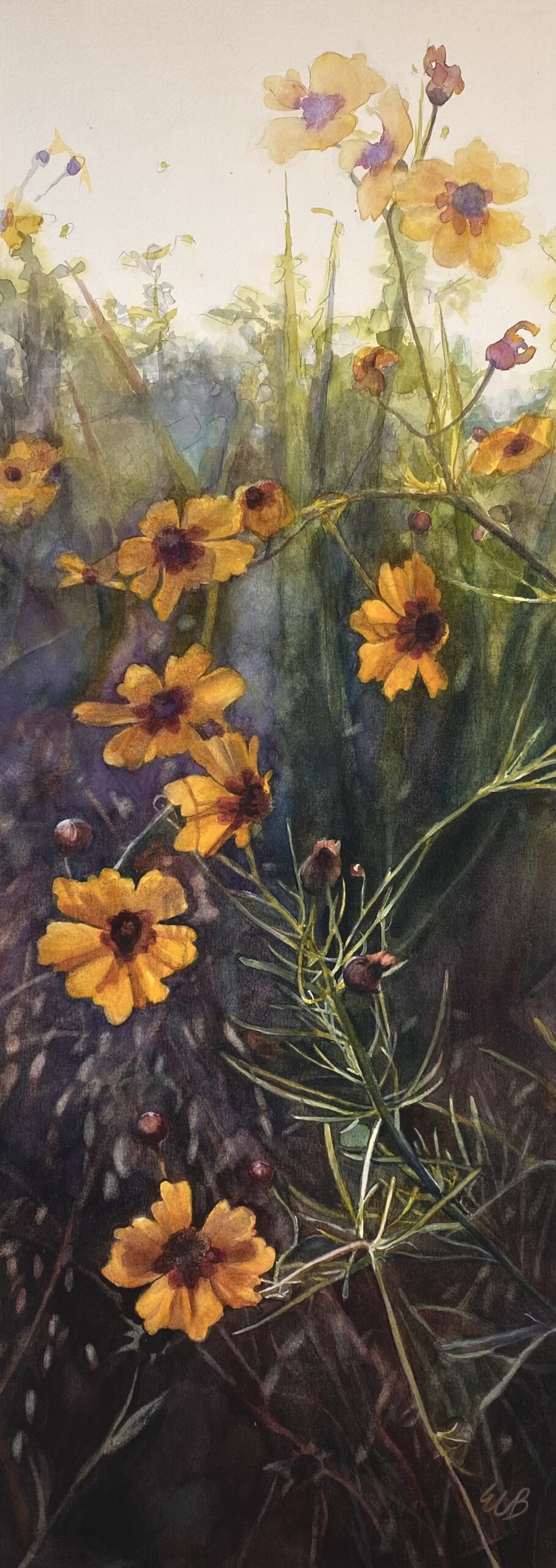 coreopsis-klein-prairie-watercolor-erin-blumer