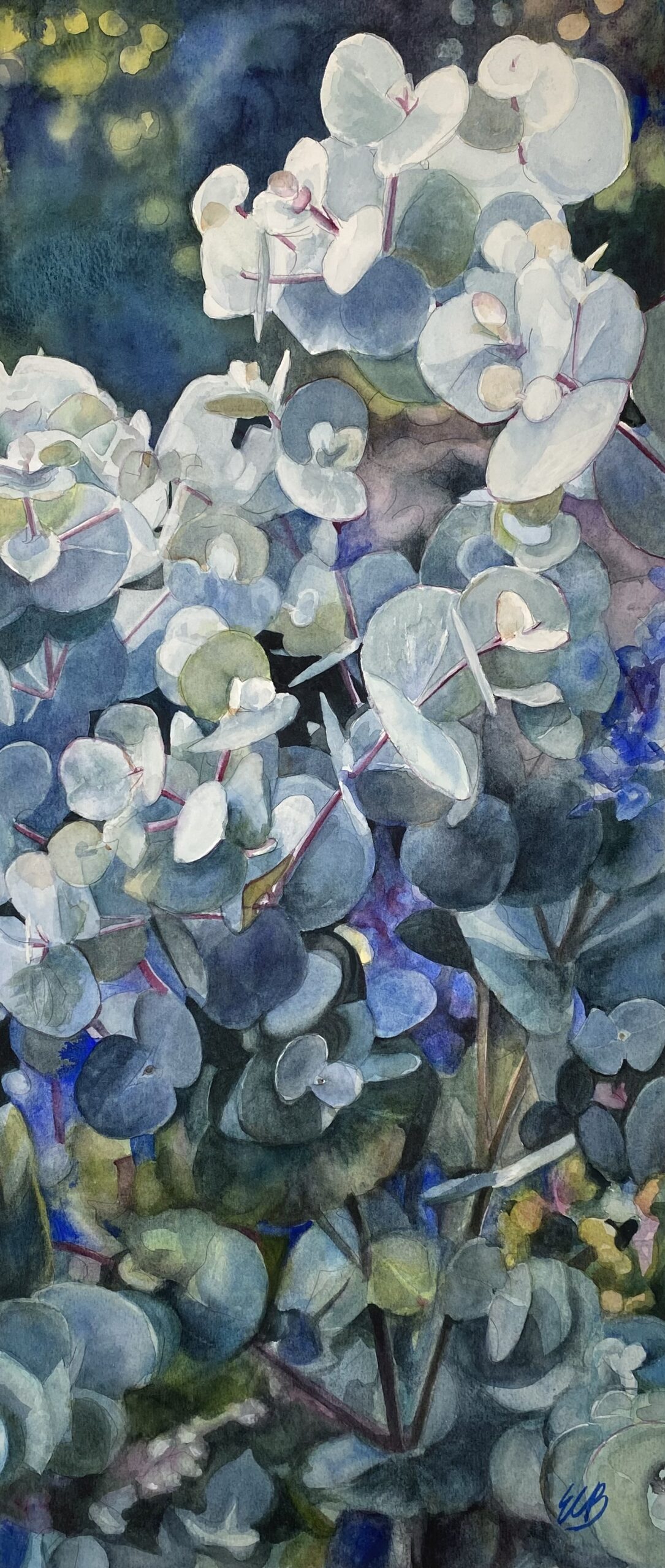 eucalyptus-sensory-garden-watercolor-erin-blumer