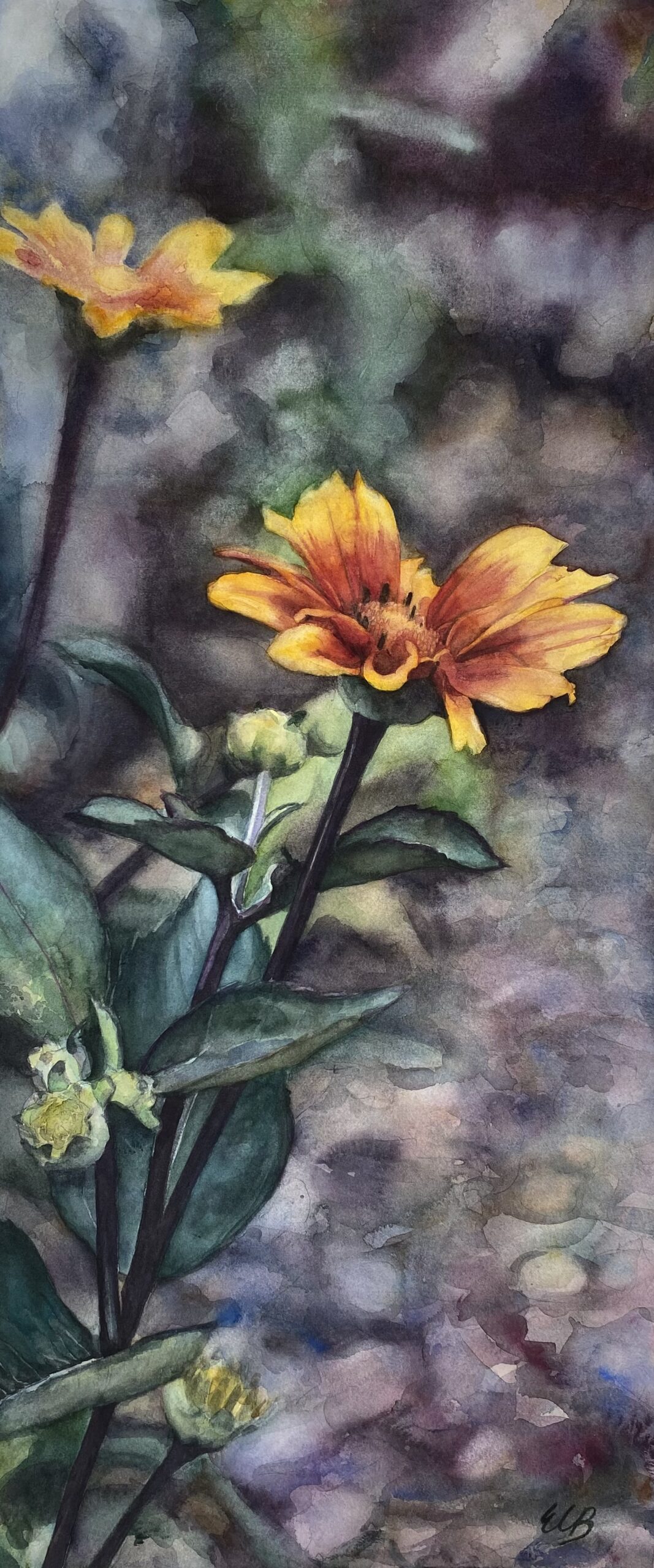 heliopsis-kemper-glade-garden-watercolor-erin-blumer