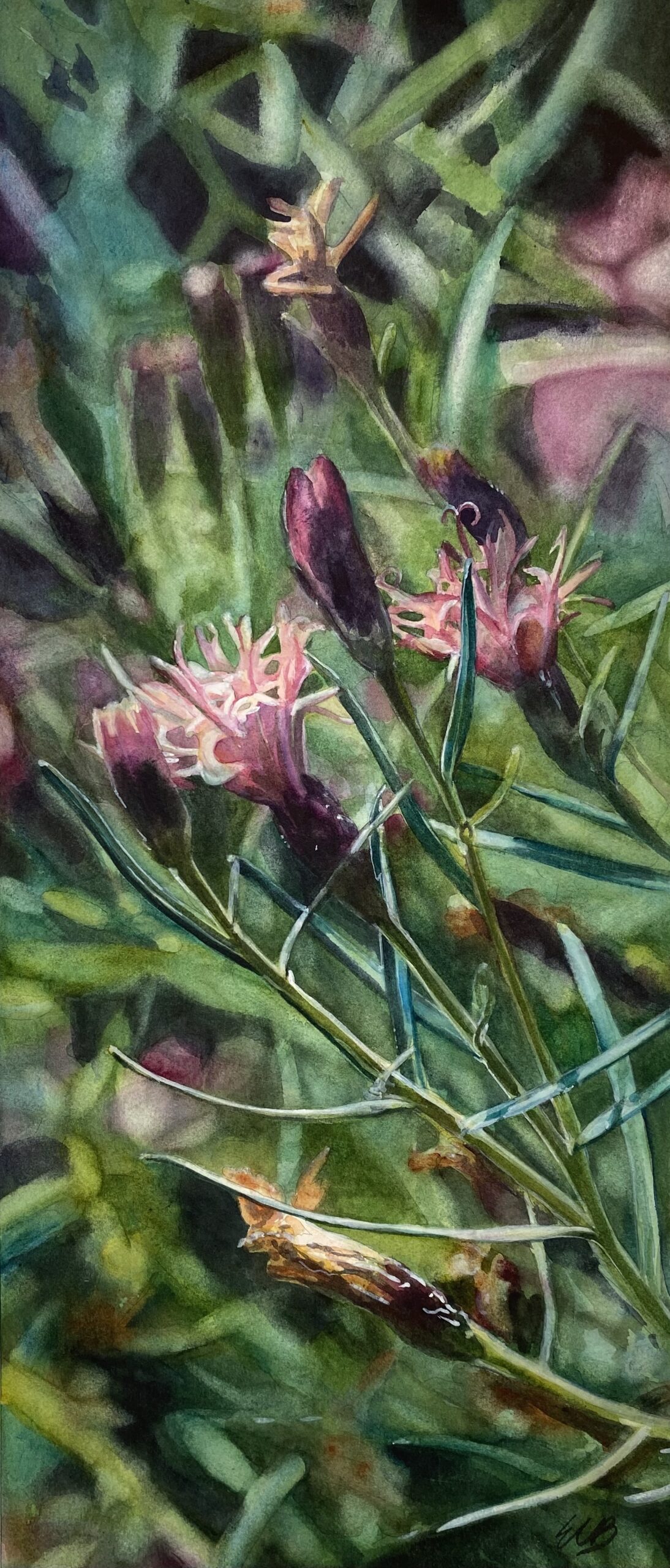 ironweed-kemper-glade-garden-watercolor-erin-blumer