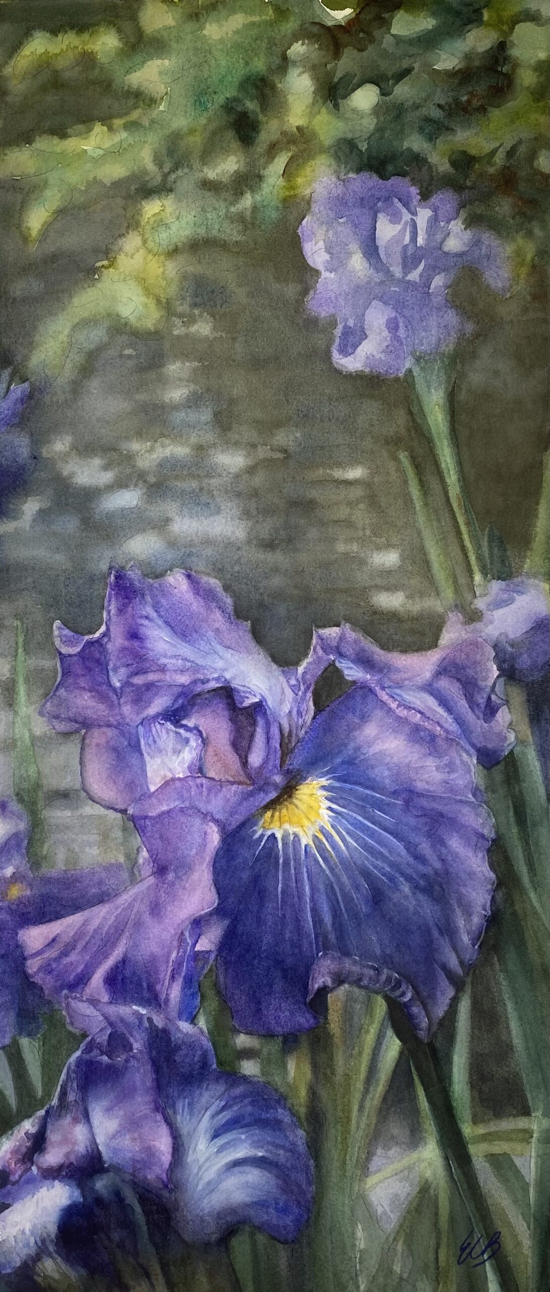 japanese-iris-japanese-garden-watercolor-erin-blumer