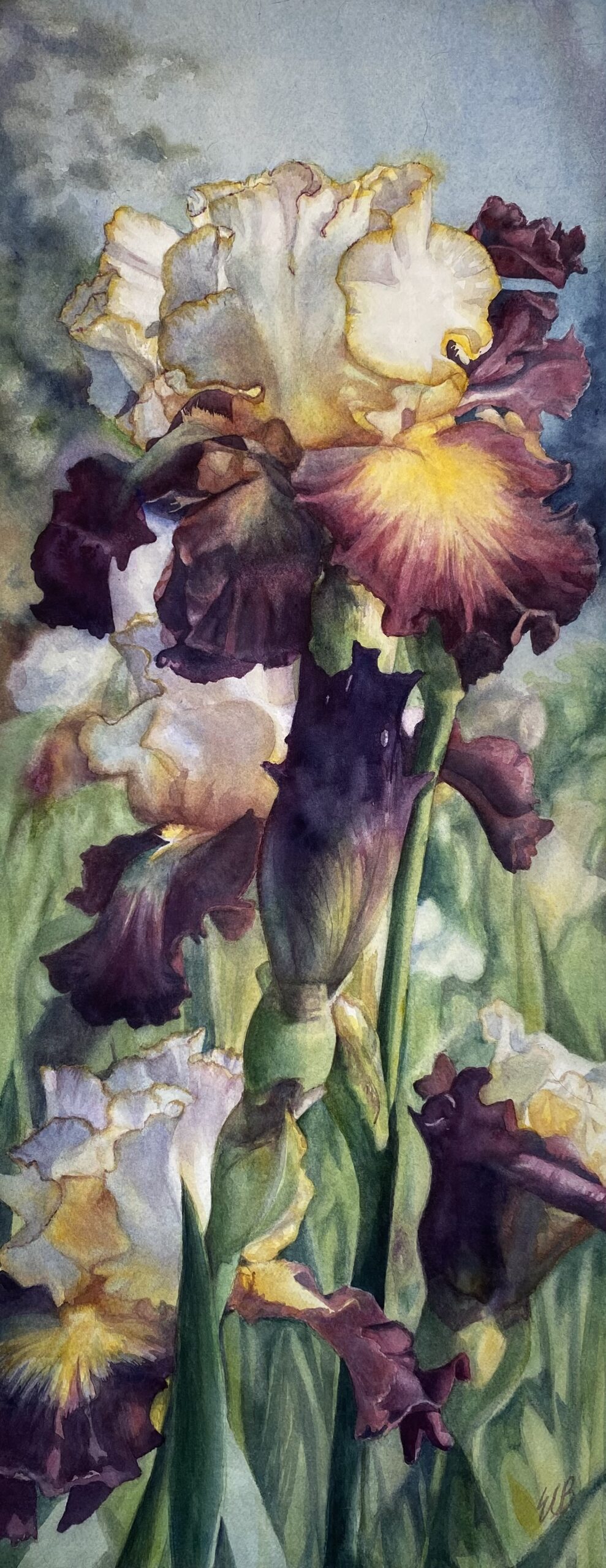yellow-iris-iris-garden-watercolor-erin-blumer
